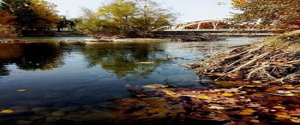 مجموعه رفاهی  تفریحی شماره 11 باغشاد — تصویر 4