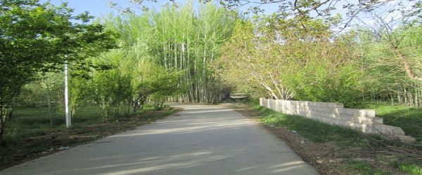 مجموعه رفاهی شماره 16(حجت آباد) — تصویر 2