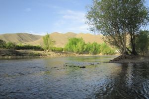 3 (دو خوابه )
